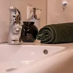 Cozy Center Апартаменты Друскининкай