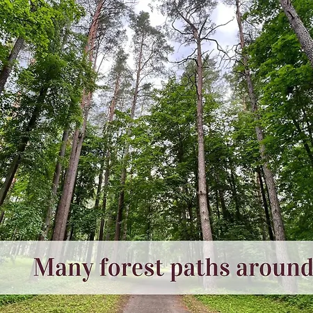 Lägenhet Cozy Center *