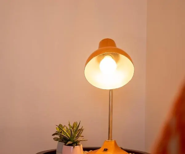 Cozy Center Druskininkai