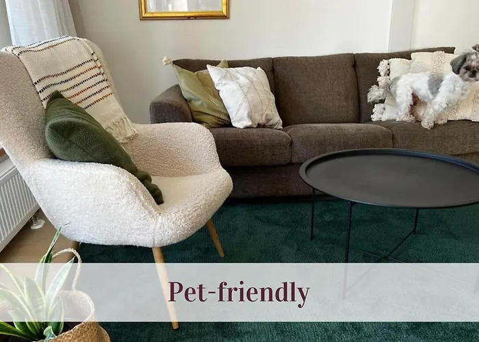 Cozy Center * Druskininkai