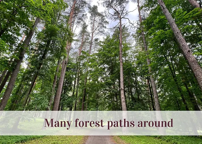 Апартаменты Cozy Center *